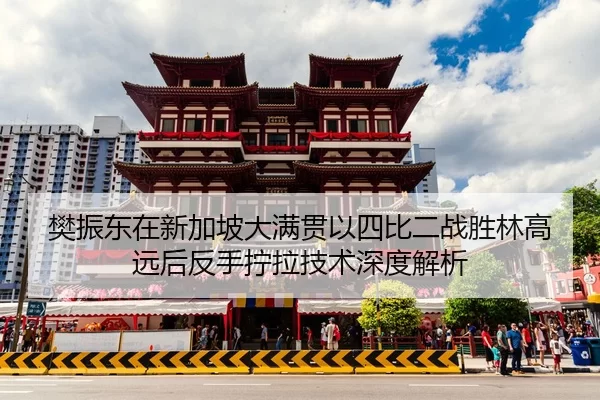 樊振东在新加坡大满贯以四比二战胜林高远后反手拧拉技术深度解析