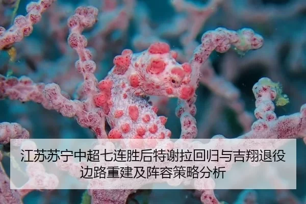 江苏苏宁中超七连胜后特谢拉回归与吉翔退役边路重建及阵容策略分析