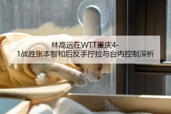 林高远在WTT重庆4-1战胜张本智和后反手拧拉与台内控制深析