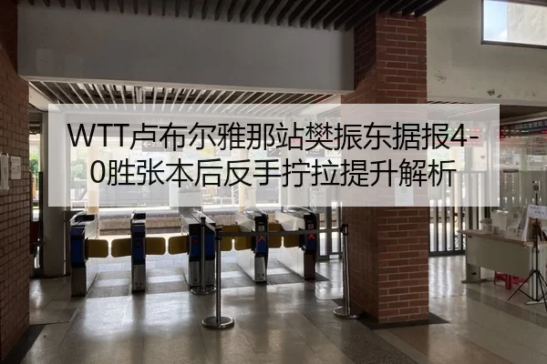 WTT卢布尔雅那站樊振东据报4-0胜张本后反手拧拉提升解析