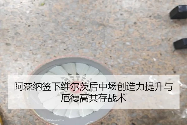 阿森纳签下维尔茨后中场创造力提升与厄德高共存战术